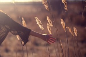 Woman in the field energy exchange rules | The Sublime Woman