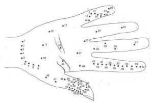 Accupressure Health Points